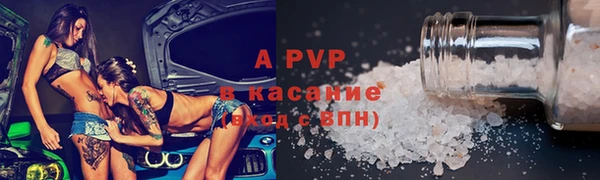 стафф Алзамай