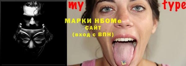 мет Алексин