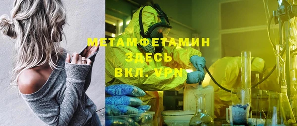 мет Алексин