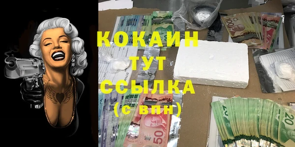 мет Алексин