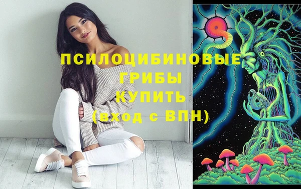 стафф Алзамай
