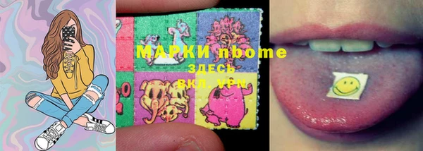 мет Алексин