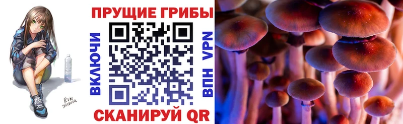 Галлюциногенные грибы Cubensis  наркота  Рязань 